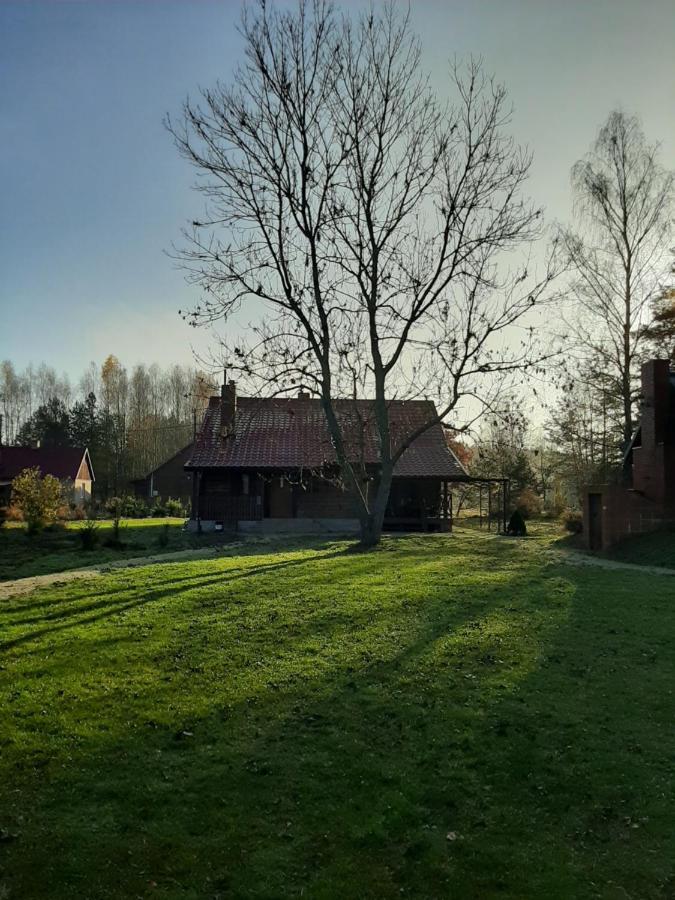 Agroturystyka Zubr Villa Grabenstatt Bagian luar foto