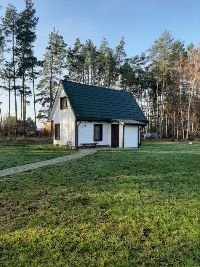 Agroturystyka Zubr Villa Grabenstatt Bagian luar foto