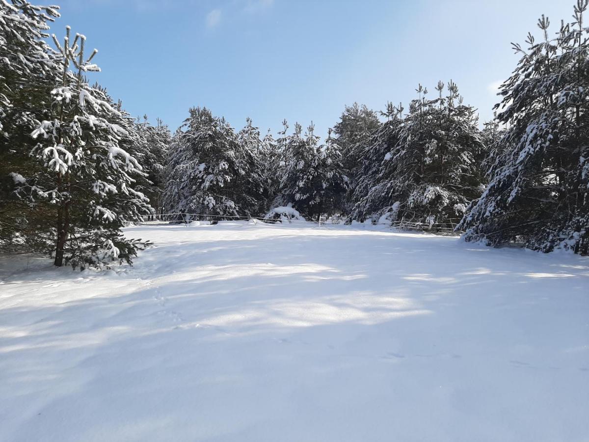 Agroturystyka Zubr Villa Grabenstatt Bagian luar foto