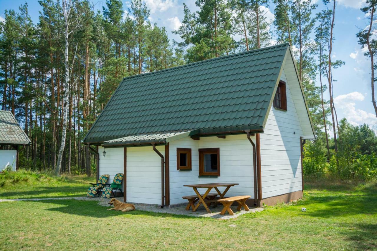 Agroturystyka Zubr Villa Grabenstatt Bagian luar foto